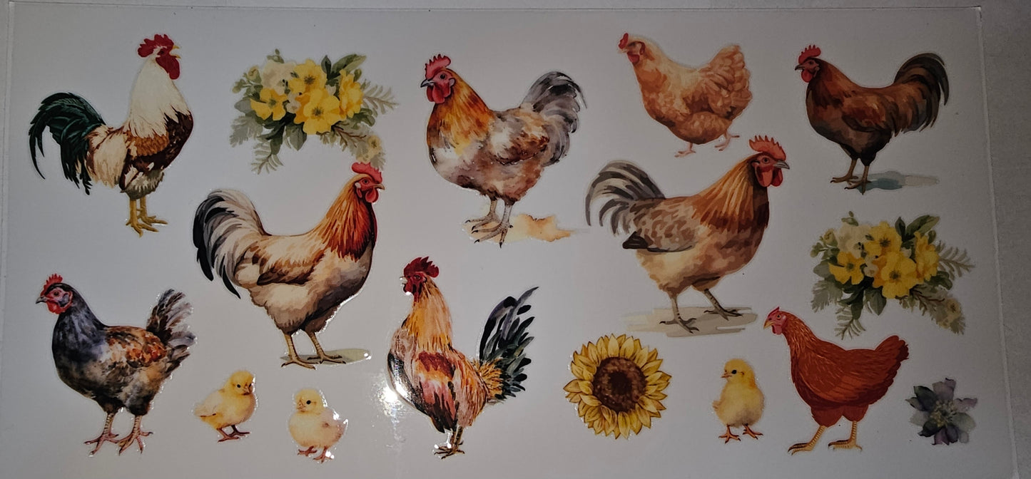 Chicken Wrap (Various Styles)